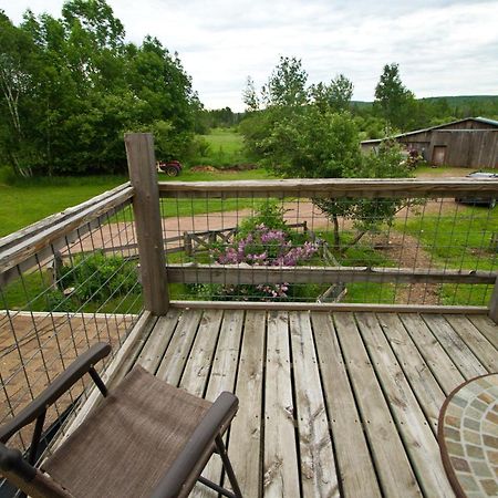 White Horse Stable Apartment Bayfield Exterior foto