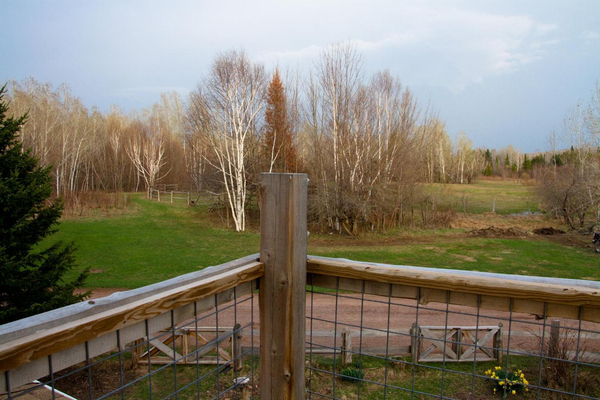 White Horse Stable Apartment Bayfield Exterior foto
