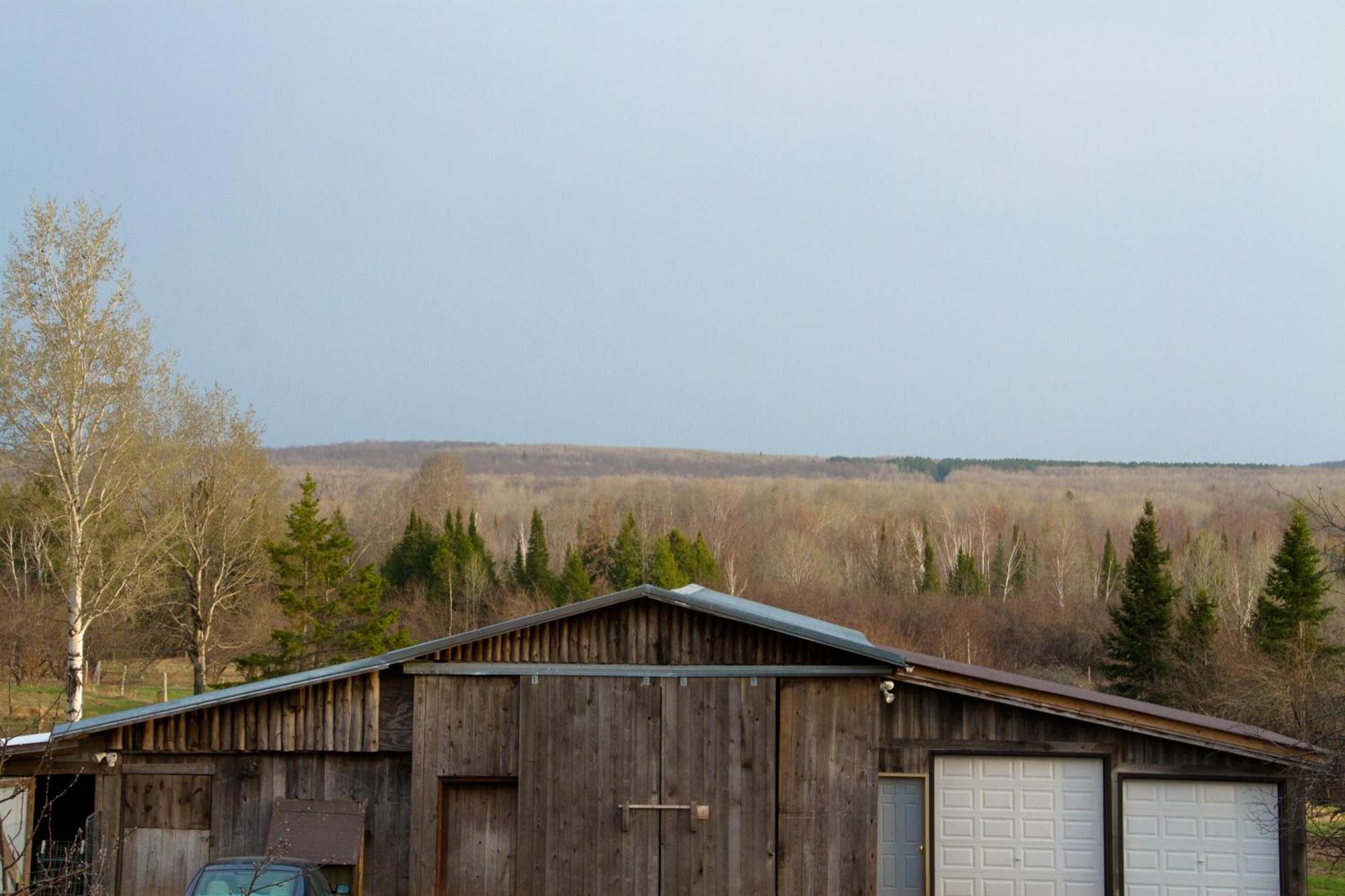 White Horse Stable Apartment Bayfield Exterior foto